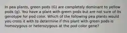 In pea plants, green pods (G) are completely dominant to yellow pods (g). You have a plant with green pods but are not sure of its genotype for pod color. Which of the following pea plants would you cross it with to determine if this plant with green pods is homozygous or heterozygous at the pod color gene?