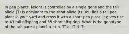 In pea plants, height is controlled by a single gene and the tall allele (T) is dominant to the short allele (t). You find a tall pea plant in your yard and cross it with a short pea plant. It gives rise to 43 tall offspring and 35 short offspring. What is the genotype of the tall parent plant? a. tt b. TT c. tT d. Tt