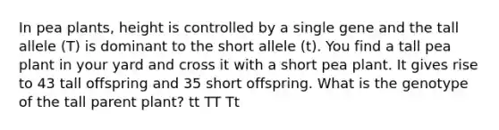 In pea plants, height is controlled by a single gene and the tall allele (T) is dominant to the short allele (t). You find a tall pea plant in your yard and cross it with a short pea plant. It gives rise to 43 tall offspring and 35 short offspring. What is the genotype of the tall parent plant? tt TT Tt