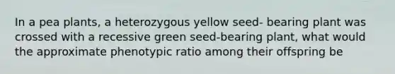 In a pea plants, a heterozygous yellow seed- bearing plant was crossed with a recessive green seed-bearing plant, what would the approximate phenotypic ratio among their offspring be