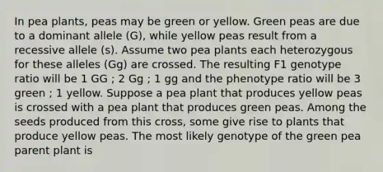 In pea plants, peas may be green or yellow. Green peas are due to a dominant allele (G), while yellow peas result from a recessive allele (s). Assume two pea plants each heterozygous for these alleles (Gg) are crossed. The resulting F1 genotype ratio will be 1 GG ; 2 Gg ; 1 gg and the phenotype ratio will be 3 green ; 1 yellow. Suppose a pea plant that produces yellow peas is crossed with a pea plant that produces green peas. Among the seeds produced from this cross, some give rise to plants that produce yellow peas. The most likely genotype of the green pea parent plant is