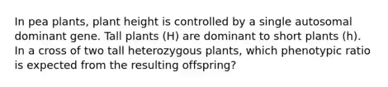 In pea plants, plant height is controlled by a single autosomal dominant gene. Tall plants (H) are dominant to short plants (h). In a cross of two tall heterozygous plants, which phenotypic ratio is expected from the resulting offspring?