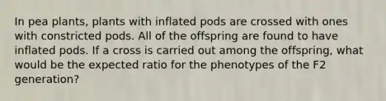 In pea plants, plants with inflated pods are crossed with ones with constricted pods. All of the offspring are found to have inflated pods. If a cross is carried out among the offspring, what would be the expected ratio for the phenotypes of the F2 generation?