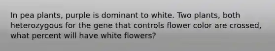 In pea plants, purple is dominant to white. Two plants, both heterozygous for the gene that controls flower color are crossed, what percent will have white flowers?