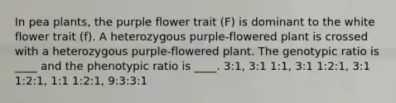 In pea plants, the purple flower trait (F) is dominant to the white flower trait (f). A heterozygous purple-flowered plant is crossed with a heterozygous purple-flowered plant. The genotypic ratio is ____ and the phenotypic ratio is ____. 3:1, 3:1 1:1, 3:1 1:2:1, 3:1 1:2:1, 1:1 1:2:1, 9:3:3:1