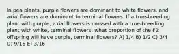 In pea plants, purple flowers are dominant to white flowers, and axial flowers are dominant to terminal flowers. If a true-breeding plant with purple, axial flowers is crossed with a true-breeding plant with white, terminal flowers, what proportion of the F2 offspring will have purple, terminal flowers? A) 1/4 B) 1/2 C) 3/4 D) 9/16 E) 3/16