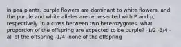 in pea plants, purple flowers are dominant to white flowers, and the purple and white alleles are represented with P and p, respectively. in a cross between two heterozygotes. what proportion of the offspring are expected to be purple? -1/2 -3/4 -all of the offspring -1/4 -none of the offspring