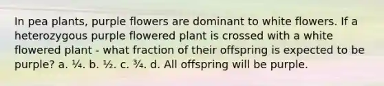 In pea plants, purple flowers are dominant to white flowers. If a heterozygous purple flowered plant is crossed with a white flowered plant - what fraction of their offspring is expected to be purple? a. ¼. b. ½. c. ¾. d. All offspring will be purple.