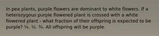 In pea plants, purple flowers are dominant to white flowers. If a heterozygous purple flowered plant is crossed with a white flowered plant - what fraction of their offspring is expected to be purple? ¼. ½. ¾. All offspring will be purple.