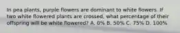 In pea plants, purple flowers are dominant to white flowers. If two white flowered plants are crossed, what percentage of their offspring will be white flowered? A. 0% B. 50% C. 75% D. 100%