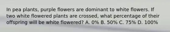 In pea plants, purple flowers are dominant to white flowers. If two white flowered plants are crossed, what percentage of their offspring will be white flowered? A. 0% B. 50% C. 75% D. 100%