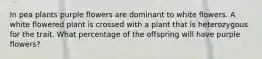 In pea plants purple flowers are dominant to white flowers. A white flowered plant is crossed with a plant that is heterozygous for the trait. What percentage of the offspring will have purple flowers?