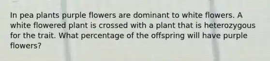 In pea plants purple flowers are dominant to white flowers. A white flowered plant is crossed with a plant that is heterozygous for the trait. What percentage of the offspring will have purple flowers?