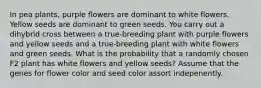 In pea plants, purple flowers are dominant to white flowers. Yellow seeds are dominant to green seeds. You carry out a dihybrid cross between a true-breeding plant with purple flowers and yellow seeds and a true-breeding plant with white flowers and green seeds. What is the probability that a randomly chosen F2 plant has white flowers and yellow seeds? Assume that the genes for flower color and seed color assort indepenently.