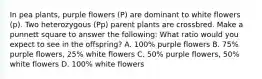 In pea plants, purple flowers (P) are dominant to white flowers (p). Two heterozygous (Pp) parent plants are crossbred. Make a punnett square to answer the following: What ratio would you expect to see in the offspring? A. 100% purple flowers B. 75% purple flowers, 25% white flowers C. 50% purple flowers, 50% white flowers D. 100% white flowers