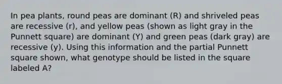 In pea plants, round peas are dominant (R) and shriveled peas are recessive (r), and yellow peas (shown as light gray in the Punnett square) are dominant (Y) and green peas (dark gray) are recessive (y). Using this information and the partial Punnett square shown, what genotype should be listed in the square labeled A?