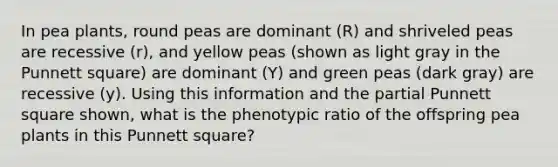 In pea plants, round peas are dominant (R) and shriveled peas are recessive (r), and yellow peas (shown as light gray in the Punnett square) are dominant (Y) and green peas (dark gray) are recessive (y). Using this information and the partial Punnett square shown, what is the phenotypic ratio of the offspring pea plants in this Punnett square?