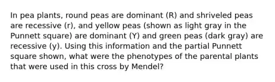 In pea plants, round peas are dominant (R) and shriveled peas are recessive (r), and yellow peas (shown as light gray in the Punnett square) are dominant (Y) and green peas (dark gray) are recessive (y). Using this information and the partial Punnett square shown, what were the phenotypes of the parental plants that were used in this cross by Mendel?