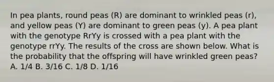 In pea plants, round peas (R) are dominant to wrinkled peas (r), and yellow peas (Y) are dominant to green peas (y). A pea plant with the genotype RrYy is crossed with a pea plant with the genotype rrYy. The results of the cross are shown below. What is the probability that the offspring will have wrinkled green peas? A. 1/4 B. 3/16 C. 1/8 D. 1/16