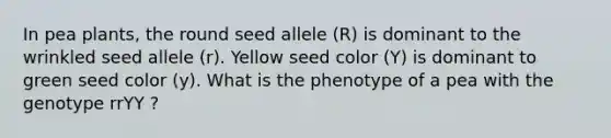 In pea plants, the round seed allele (R) is dominant to the wrinkled seed allele (r). Yellow seed color (Y) is dominant to green seed color (y). What is the phenotype of a pea with the genotype rrYY ?