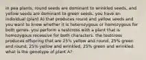 in pea plants, round seeds are dominant to wrinkled seeds, and yellow seeds are dominant to green seeds. you have an individual (plant A) that produces round and yellow seeds and you want to know whether it is heterozygous or homozygous for both genes. you perform a testcross with a plant that is homozygous recessive for both characters. the testcross produces offspring that are 25% yellow and round, 25% green and round, 25% yellow and wrinkled, 25% green and wrinkled. what is the genotype of plant A?