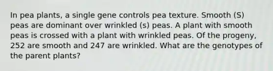 In pea plants, a single gene controls pea texture. Smooth (S) peas are dominant over wrinkled (s) peas. A plant with smooth peas is crossed with a plant with wrinkled peas. Of the progeny, 252 are smooth and 247 are wrinkled. What are the genotypes of the parent plants?