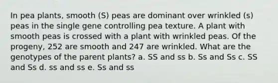 In pea plants, smooth (S) peas are dominant over wrinkled (s) peas in the single gene controlling pea texture. A plant with smooth peas is crossed with a plant with wrinkled peas. Of the progeny, 252 are smooth and 247 are wrinkled. What are the genotypes of the parent plants? a. SS and ss b. Ss and Ss c. SS and Ss d. ss and ss e. Ss and ss