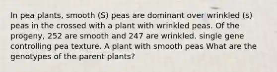 In pea plants, smooth (S) peas are dominant over wrinkled (s) peas in the crossed with a plant with wrinkled peas. Of the progeny, 252 are smooth and 247 are wrinkled. single gene controlling pea texture. A plant with smooth peas What are the genotypes of the parent plants?