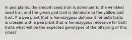 In pea plants, the smooth seed trait is dominant to the wrinkled seed trait and the green pod trait is dominate to the yellow pod trait. If a pea plant that is homozygous dominant for both traits is crossed with a pea plant that is homozygous recessive for both traits what will be the expected genotypes of the offspring of this cross?