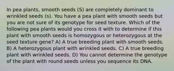 In pea plants, smooth seeds (S) are completely dominant to wrinkled seeds (s). You have a pea plant with smooth seeds but you are not sure of its genotype for seed texture. Which of the following pea plants would you cross it with to determine if this plant with smooth seeds is homozygous or heterozygous at the seed texture gene? A) A true breeding plant with smooth seeds. B) A heterozygous plant with wrinkled seeds. C) A true breeding plant with wrinkled seeds. D) You cannot determine the genotype of the plant with round seeds unless you sequence its DNA.