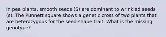 In pea plants, smooth seeds (S) are dominant to wrinkled seeds (s). The Punnett square shows a genetic cross of two plants that are heterozygous for the seed shape trait. What is the missing genotype?