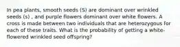 In pea plants, smooth seeds (S) are dominant over wrinkled seeds (s) , and purple flowers dominant over white flowers. A cross is made between two individuals that are heterozygous for each of these traits. What is the probability of getting a white-flowered wrinkled seed offspring?