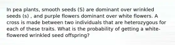 In pea plants, smooth seeds (S) are dominant over wrinkled seeds (s) , and purple flowers dominant over white flowers. A cross is made between two individuals that are heterozygous for each of these traits. What is the probability of getting a white-flowered wrinkled seed offspring?