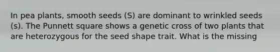 In pea plants, smooth seeds (S) are dominant to wrinkled seeds (s). The Punnett square shows a genetic cross of two plants that are heterozygous for the seed shape trait. What is the missing