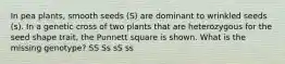 In pea plants, smooth seeds (S) are dominant to wrinkled seeds (s). In a genetic cross of two plants that are heterozygous for the seed shape trait, the Punnett square is shown. What is the missing genotype? SS Ss sS ss