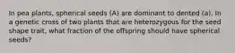 In pea plants, spherical seeds (A) are dominant to dented (a). In a genetic cross of two plants that are heterozygous for the seed shape trait, what fraction of the offspring should have spherical seeds?