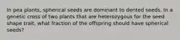 In pea plants, spherical seeds are dominant to dented seeds. In a genetic cross of two plants that are heterozygous for the seed shape trait, what fraction of the offspring should have spherical seeds?