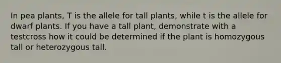 In pea plants, T is the allele for tall plants, while t is the allele for dwarf plants. If you have a tall plant, demonstrate with a testcross how it could be determined if the plant is homozygous tall or heterozygous tall.