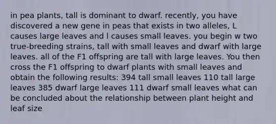 in pea plants, tall is dominant to dwarf. recently, you have discovered a new gene in peas that exists in two alleles, L causes large leaves and l causes small leaves. you begin w two true-breeding strains, tall with small leaves and dwarf with large leaves. all of the F1 offspring are tall with large leaves. You then cross the F1 offspring to dwarf plants with small leaves and obtain the following results: 394 tall small leaves 110 tall large leaves 385 dwarf large leaves 111 dwarf small leaves what can be concluded about the relationship between plant height and leaf size