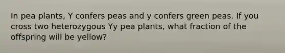 In pea plants, Y confers peas and y confers green peas. If you cross two heterozygous Yy pea plants, what fraction of the offspring will be yellow?