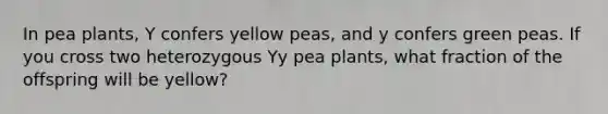 In pea plants, Y confers yellow peas, and y confers green peas. If you cross two heterozygous Yy pea plants, what fraction of the offspring will be yellow?