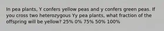 In pea plants, Y confers yellow peas and y confers green peas. If you cross two heterozygous Yy pea plants, what fraction of the offspring will be yellow? 25% 0% 75% 50% 100%