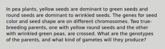 In pea plants, yellow seeds are dominant to green seeds and round seeds are dominant to wrinkled seeds. The genes for seed color and seed shape are on different chromosomes. Two true-breeding parents, one with yellow round seeds and the other with wrinkled green peas, are crossed. What are the genotypes of the parents, and what kind of gametes will they produce?