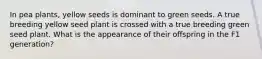 In pea plants, yellow seeds is dominant to green seeds. A true breeding yellow seed plant is crossed with a true breeding green seed plant. What is the appearance of their offspring in the F1 generation?
