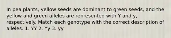 In pea plants, yellow seeds are dominant to green seeds, and the yellow and green alleles are represented with Y and y, respectively. Match each genotype with the correct description of alleles. 1. YY 2. Yy 3. yy