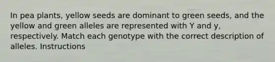 In pea plants, yellow seeds are dominant to green seeds, and the yellow and green alleles are represented with Y and y, respectively. Match each genotype with the correct description of alleles. Instructions