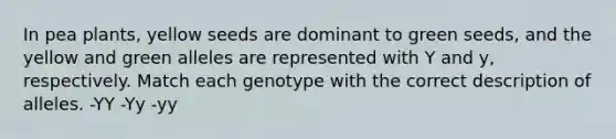 In pea plants, yellow seeds are dominant to green seeds, and the yellow and green alleles are represented with Y and y, respectively. Match each genotype with the correct description of alleles. -YY -Yy -yy