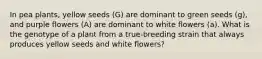 In pea plants, yellow seeds (G) are dominant to green seeds (g), and purple flowers (A) are dominant to white flowers (a). What is the genotype of a plant from a true-breeding strain that always produces yellow seeds and white flowers?