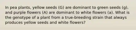 In pea plants, yellow seeds (G) are dominant to green seeds (g), and purple flowers (A) are dominant to white flowers (a). What is the genotype of a plant from a true-breeding strain that always produces yellow seeds and white flowers?