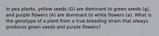 In pea plants, yellow seeds (G) are dominant to green seeds (g), and purple flowers (A) are dominant to white flowers (a). What is the genotype of a plant from a true-breeding strain that always produces green seeds and purple flowers?